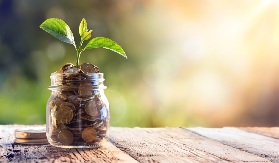 Savings & Investments